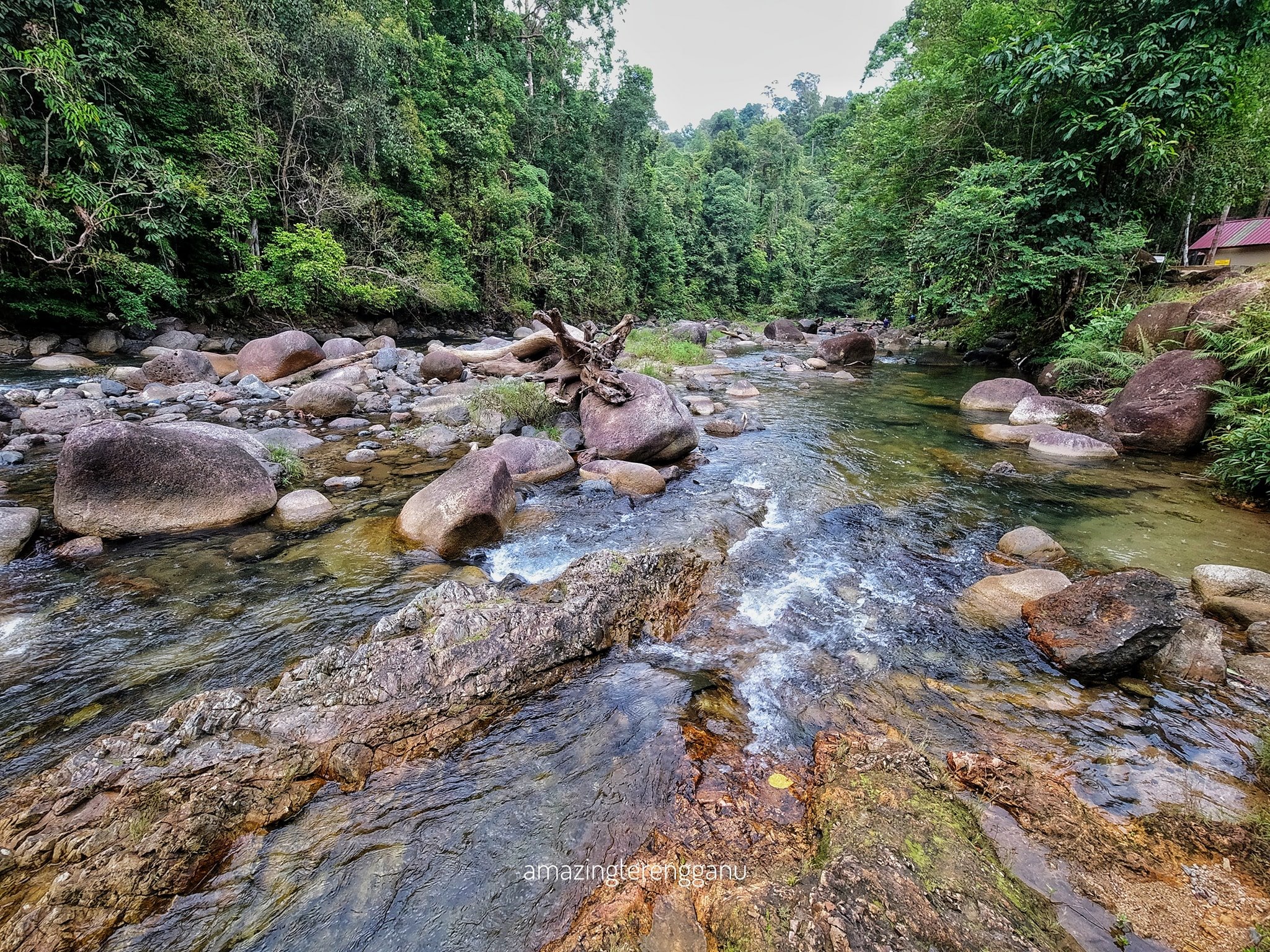 Lata Cangkah