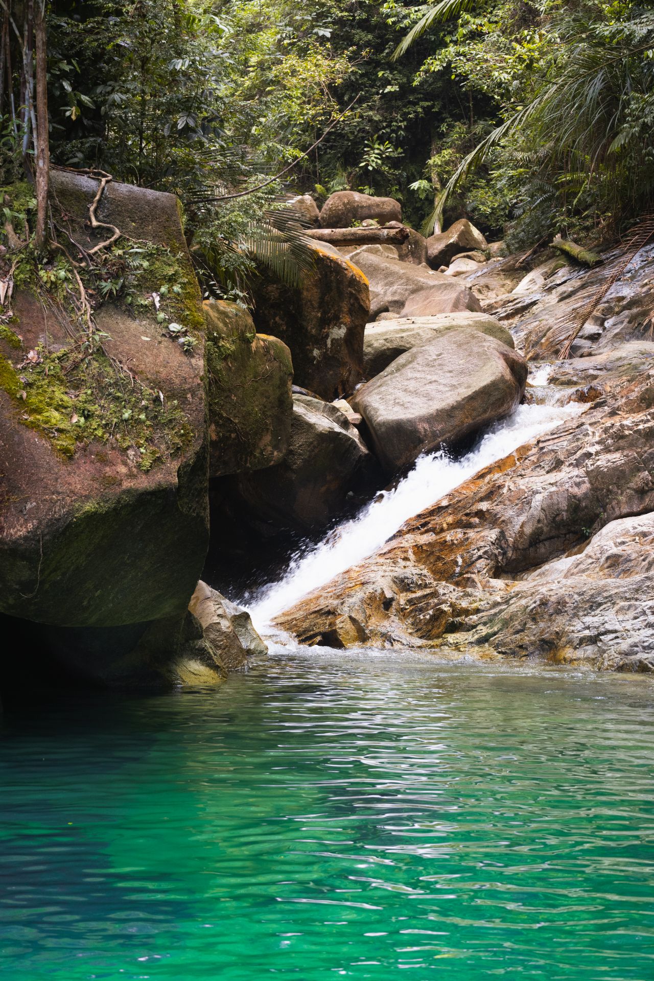 Lata Payung